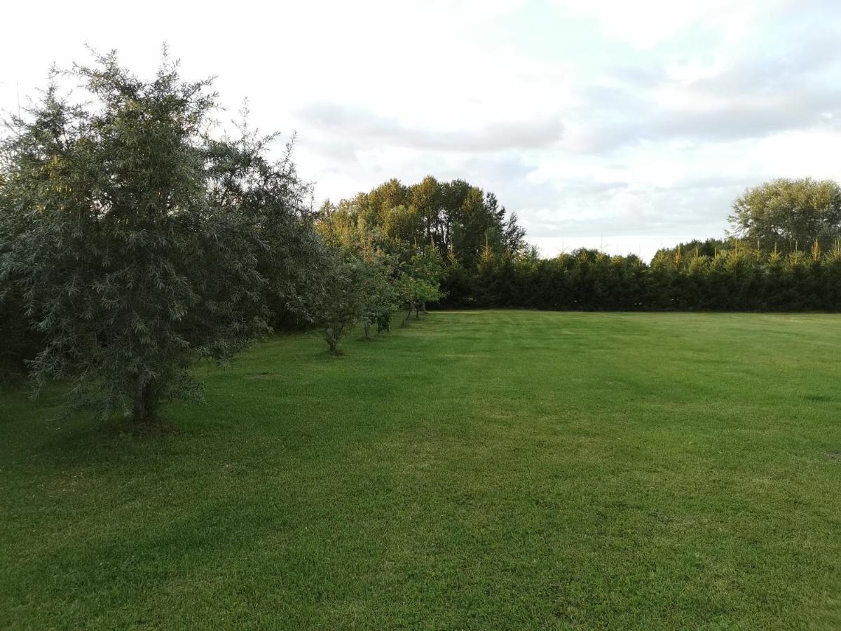 Kuuseoksa Holiday Home Viru-Nigula Εξωτερικό φωτογραφία